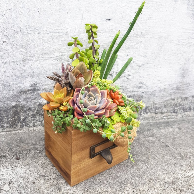 乡村风仿旧木抽屉 ( 大 ) Rustic & vintage wooden drawer ( L ) - 植栽/盆栽 - 木头 咖啡色