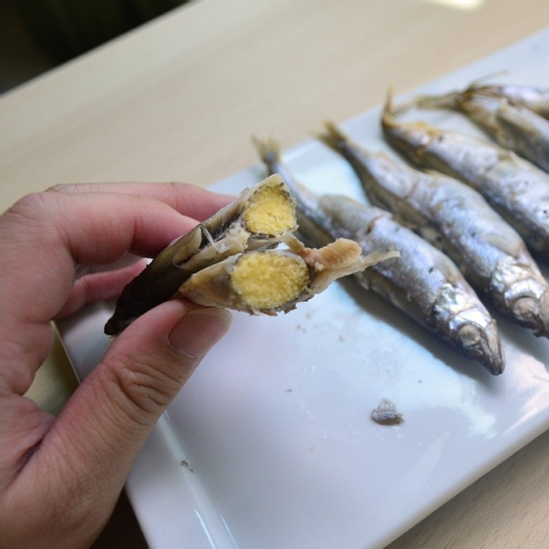 加拿大爽脆爆卵柳叶鱼 - 其他 - 其他材质 灰色