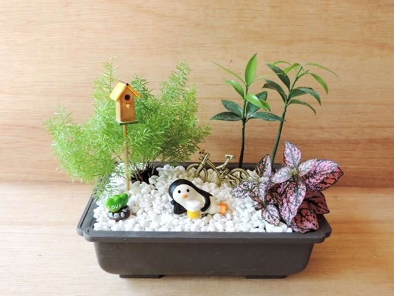 疗育系 · 森林小憩一会《限定款》 - 植栽/盆栽 - 植物．花 