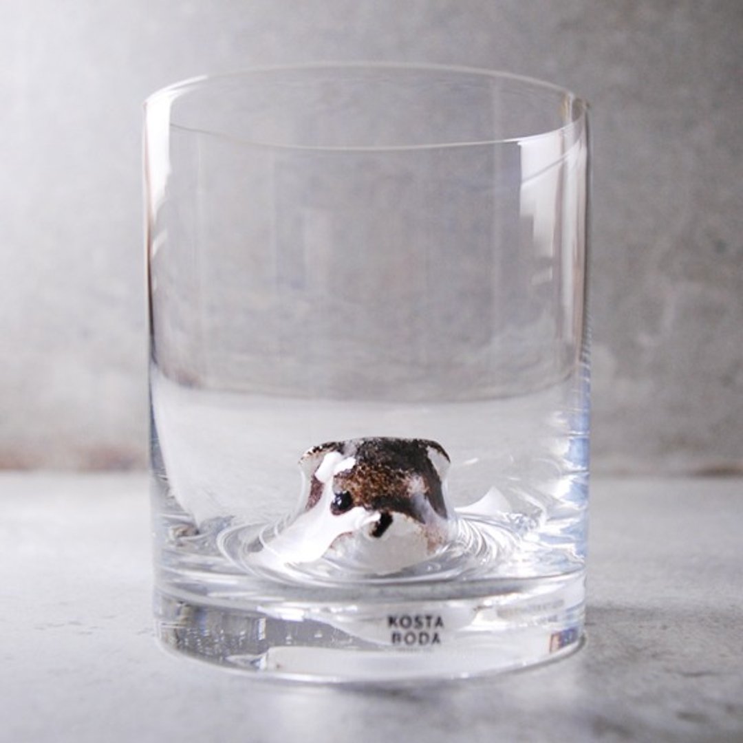 400cc【Kosta Boda 瑞典进口】 小熊 New Friends Tumbler Bear杯 - 酒杯/酒器 - 玻璃 咖啡色