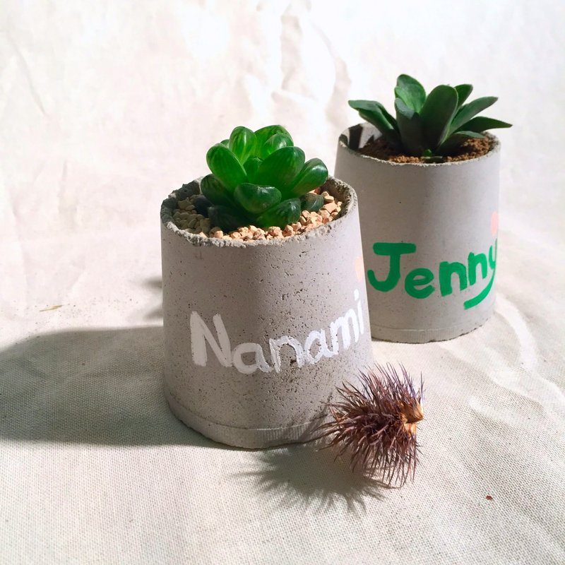 [动植物]写写字水泥盆。伍号[不含植] - 植栽/盆栽 - 水泥 灰色