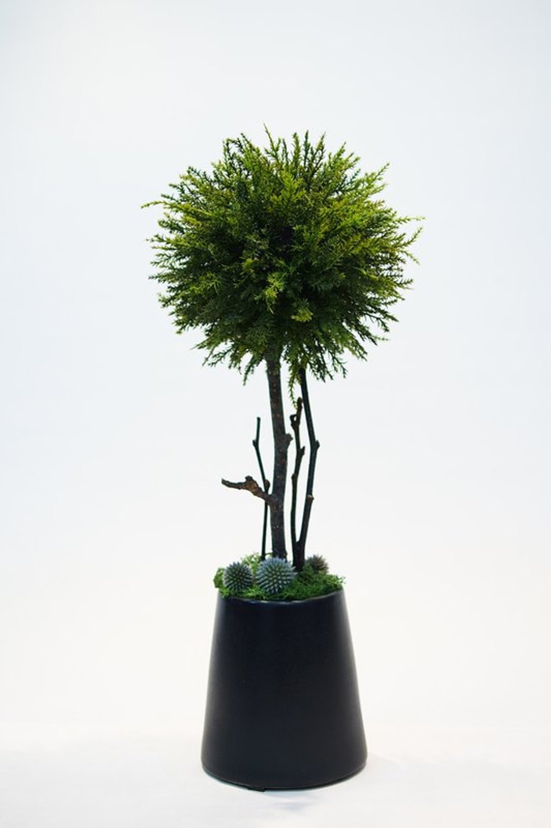 【人造花艺】可爱迷你版松树 - 植栽/盆栽 - 其他材质 绿色