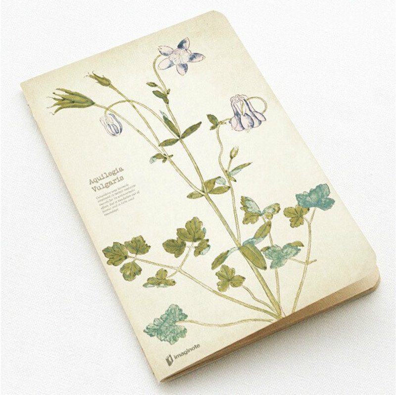九口山原创48Page药草系列牛皮纸线装本- 楼斗菜 - 笔记本/手帐 - 纸 多色