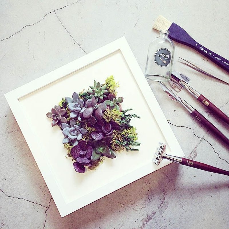 ◥200%百分之两百：多肉花型少女品种组盆生命画框/完整画框与植栽 - 植栽/盆栽 - 植物．花 紫色