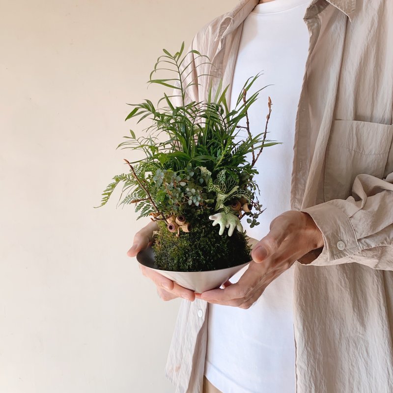 限量苔球植栽组合 搭配设计师手捏陶艺恐龙 - 植栽/盆栽 - 植物．花 绿色