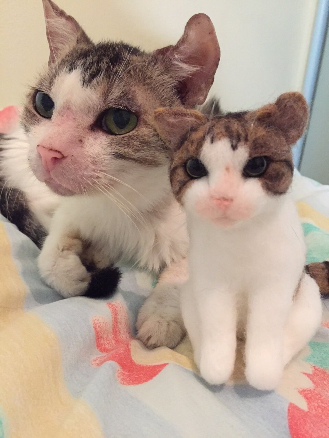 ☆ 羊毛毡 拟真猫猫 ☆ (定制化) - 其他 - 羊毛 多色