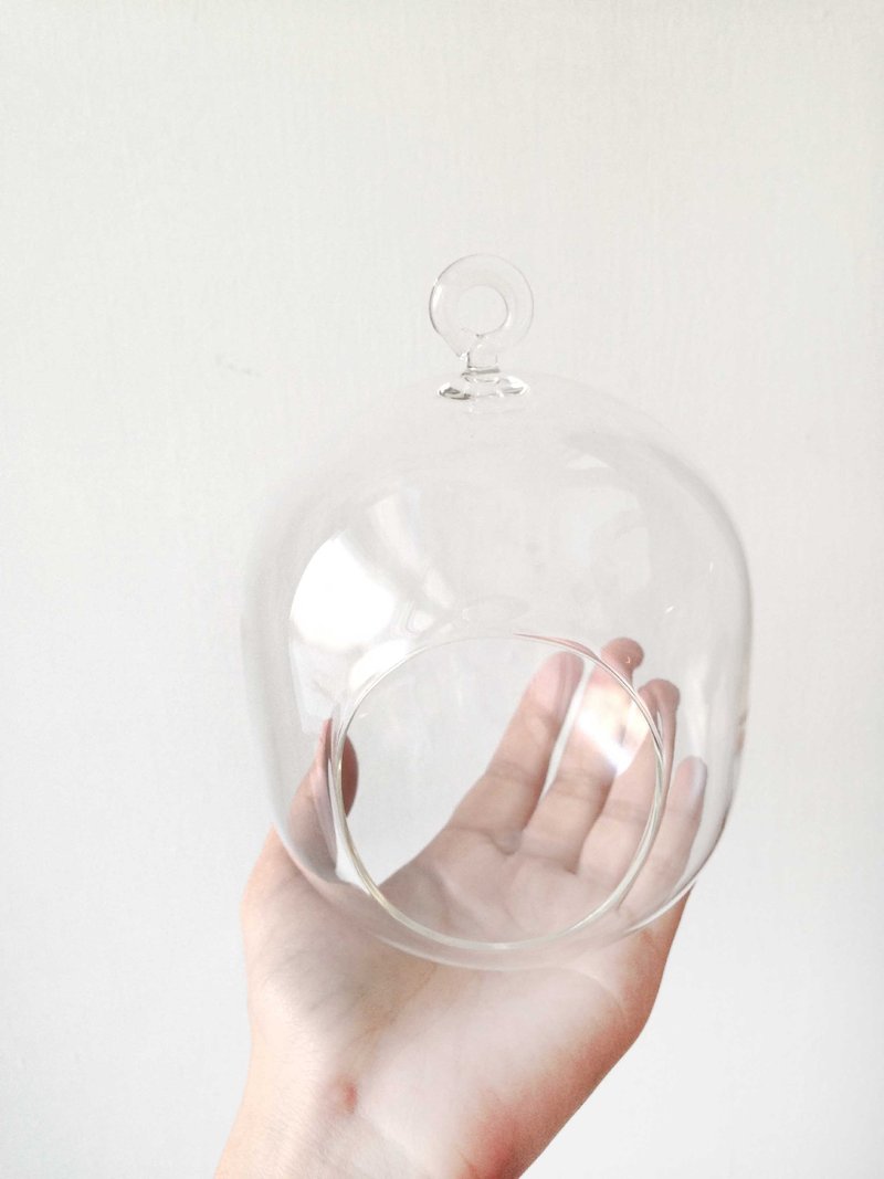 植栽窝系列- 胖宝精灵盆Galaxy器皿-可平放/悬吊-新発売 - 植栽/盆栽 - 玻璃 金色