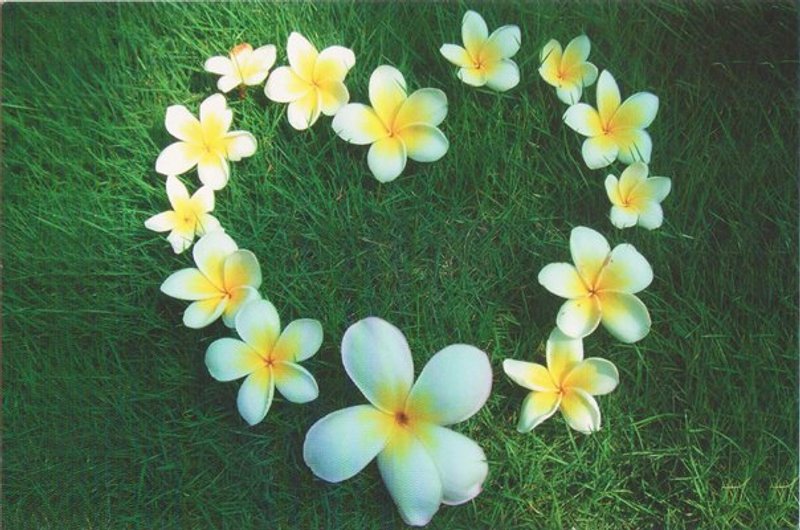 Love Flower－万用卡 明信片 - 卡片/明信片 - 纸 绿色