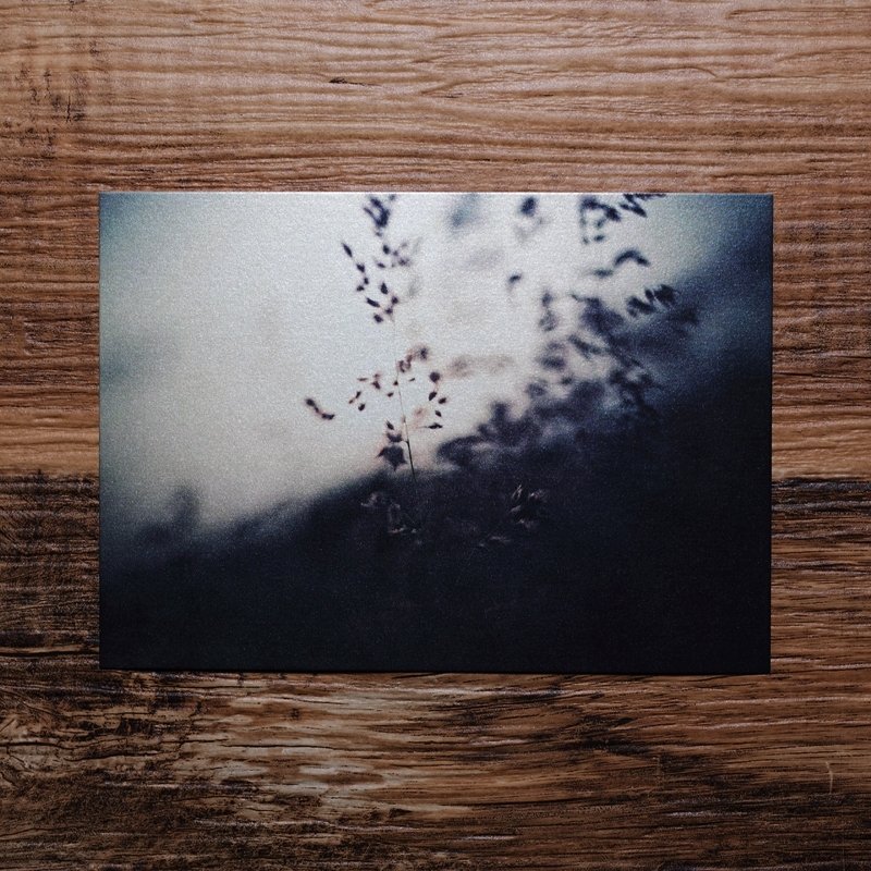 【照片明信片  #11】Photo Postcard | TH1RT3ENDREAMS - 摄影集 - 纸 蓝色