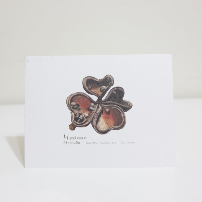 湘-NSJ 手绘 掌叶苹婆  明信片 - 卡片/明信片 - 纸 多色