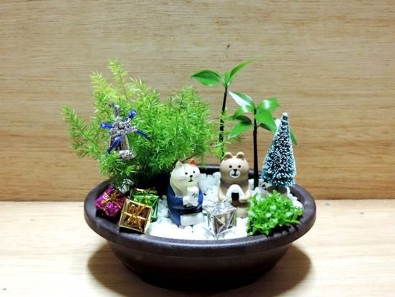 疗育系 · 森林野餐趣《圣诞限定款》 - 植栽/盆栽 - 植物．花 