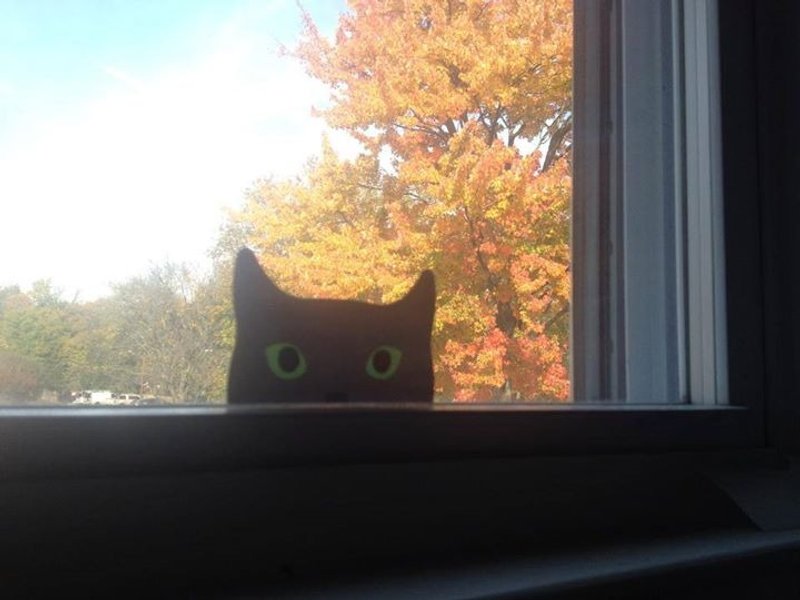 猫出没注意! *小蓝猫 - 贴纸 - 防水材质 灰色