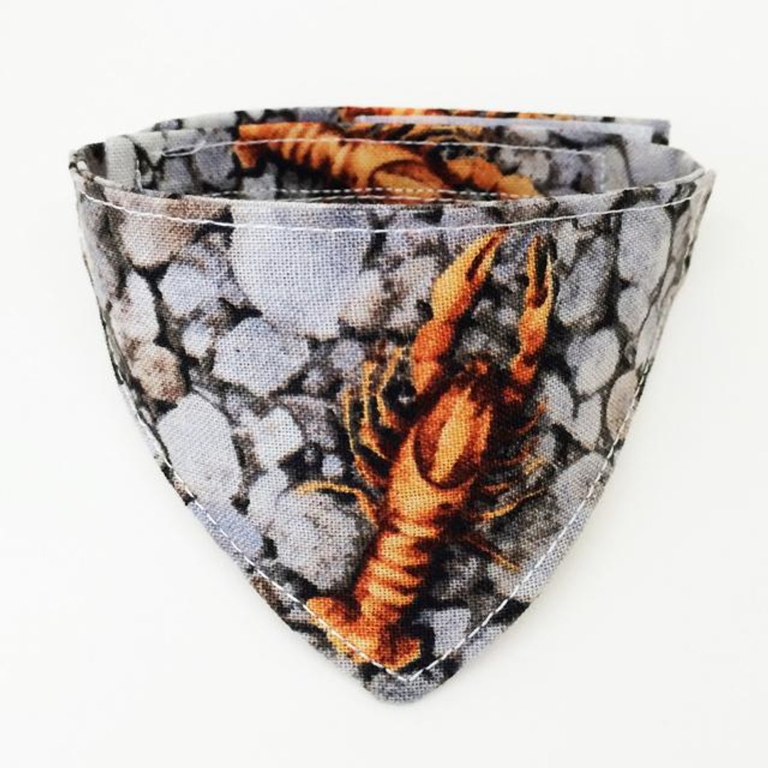 Bandana-style collar for cats Crayfish pattern with horn cans From kittens to adult cats - 衣/帽 - 棉 灰色