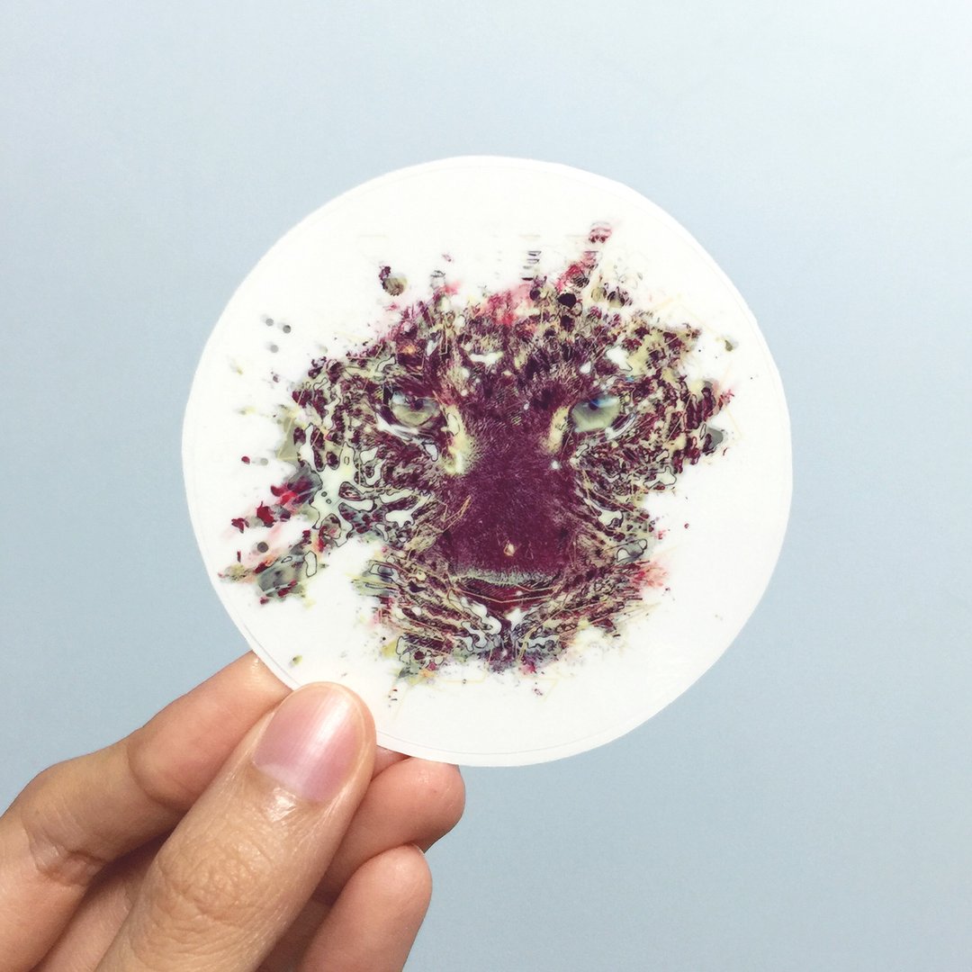 豹 透明贴纸 (leopard sticker) - 贴纸 - 纸 多色