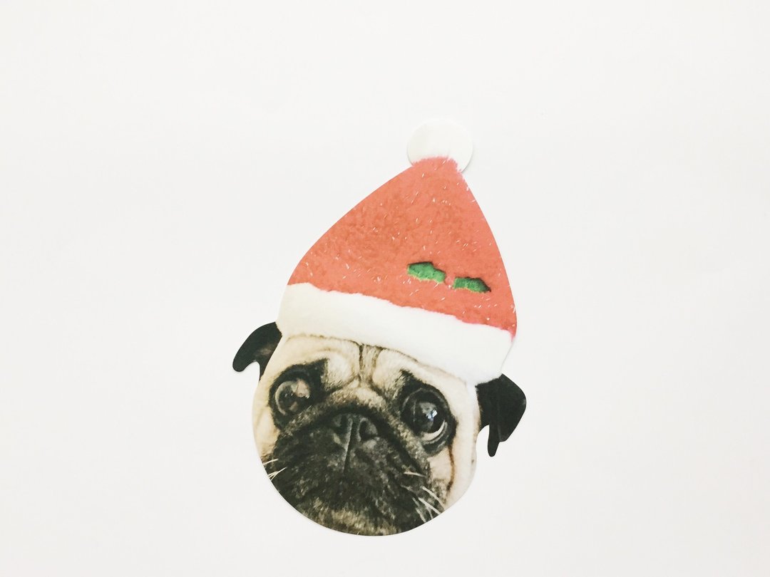 YONG Santa Pug 巴哥勇勇圣诞卡 - 卡片/明信片 - 纸 红色
