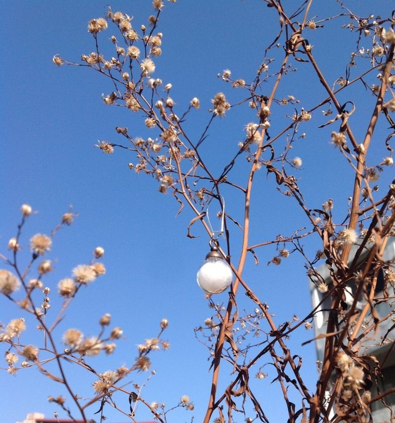 耳环●滚滚小雪球 - 耳环/耳夹 - 玻璃 白色