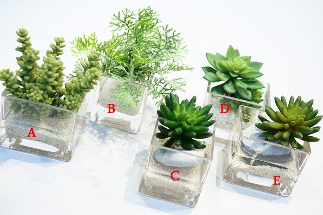 【假水人造花艺】石莲方玻璃系列 - 植栽/盆栽 - 其他材质 绿色