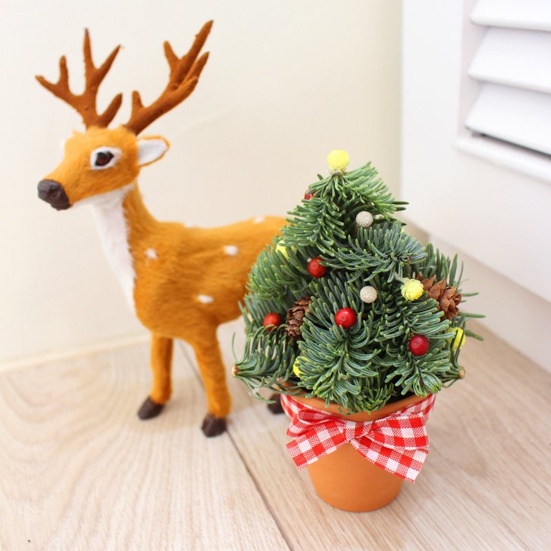 Flover芙拉设计 *耶诞限定*诺贝松迷你圣诞树 - 摆饰 - 其他材质 