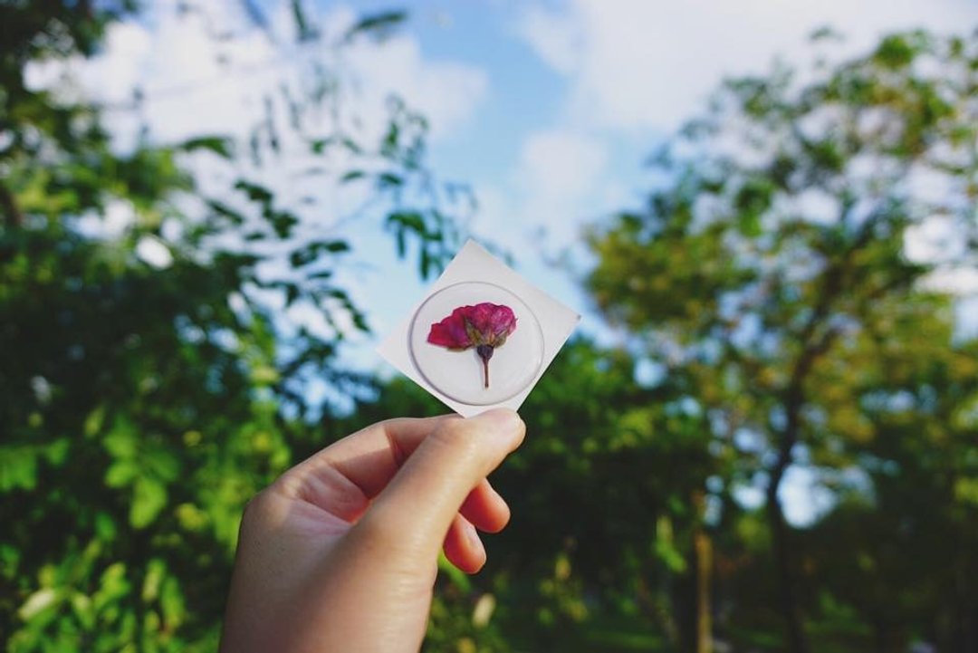 玫瑰押花贴纸/ 标本贴纸 - 贴纸 - 其他材质 