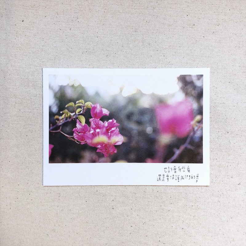 保护我们的梦 明信片 - 卡片/明信片 - 纸 