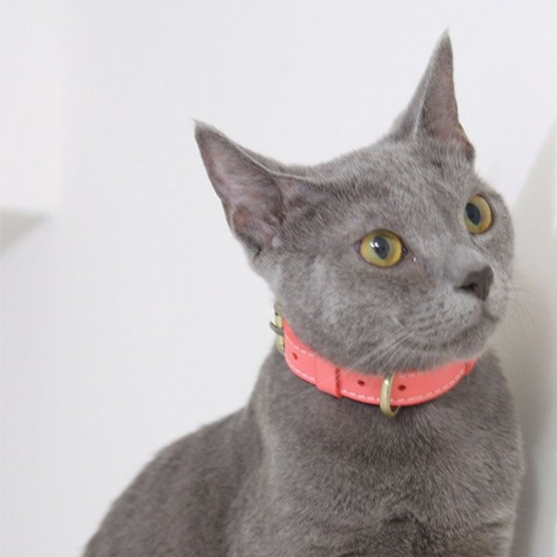 【拍拍】宠物真皮项圈/铆钉款 - XS - 项圈/牵绳 - 真皮 多色