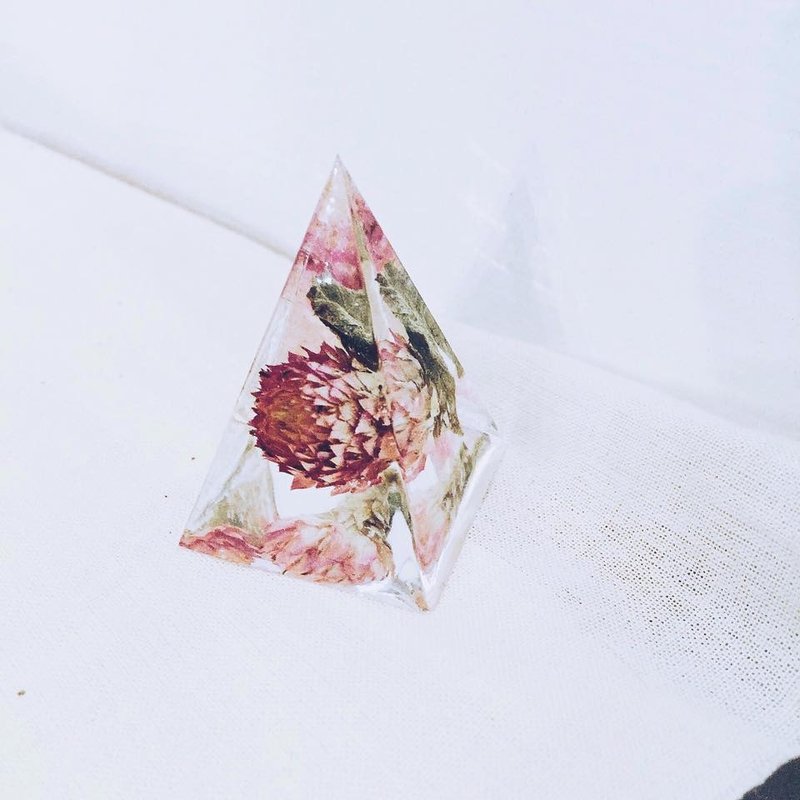 植物艾迪 ♪ 锥形纸镇 - 植栽/盆栽 - 植物．花 紫色