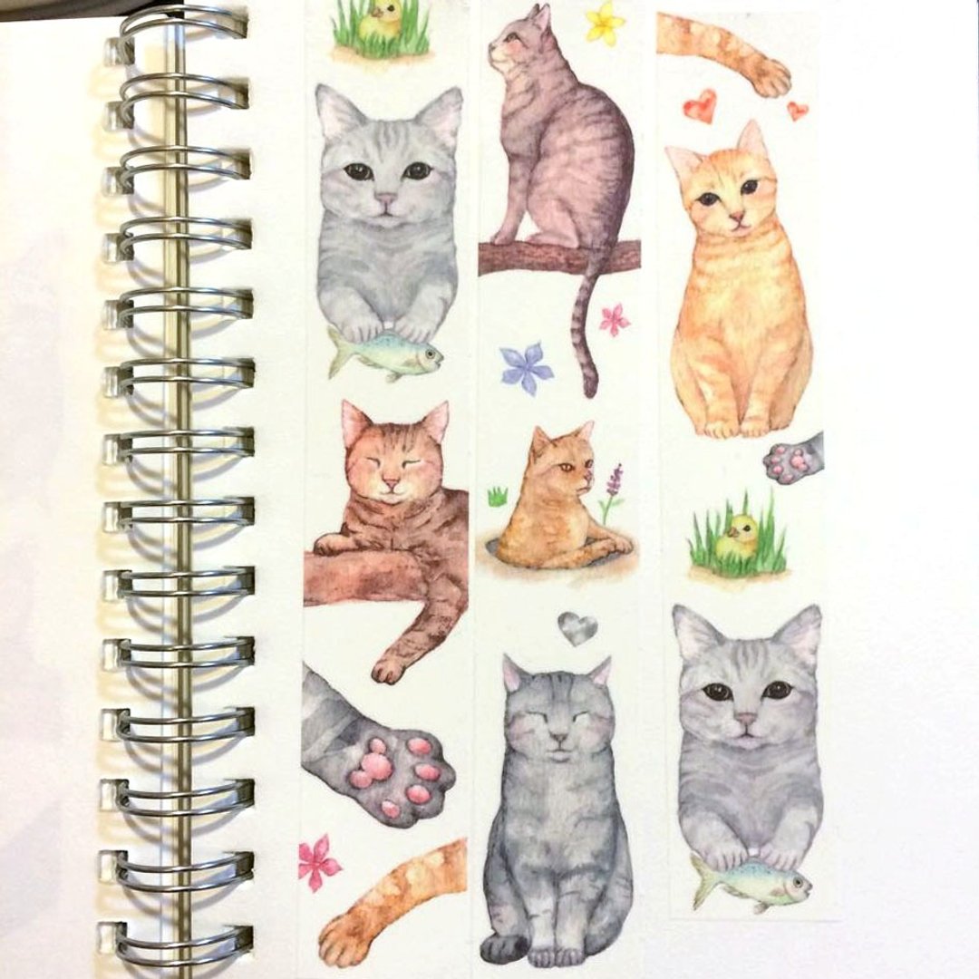 虎斑猫纸胶带 橘猫 灰猫  多色猫猫一次拥有 - 纸胶带 - 纸 金色