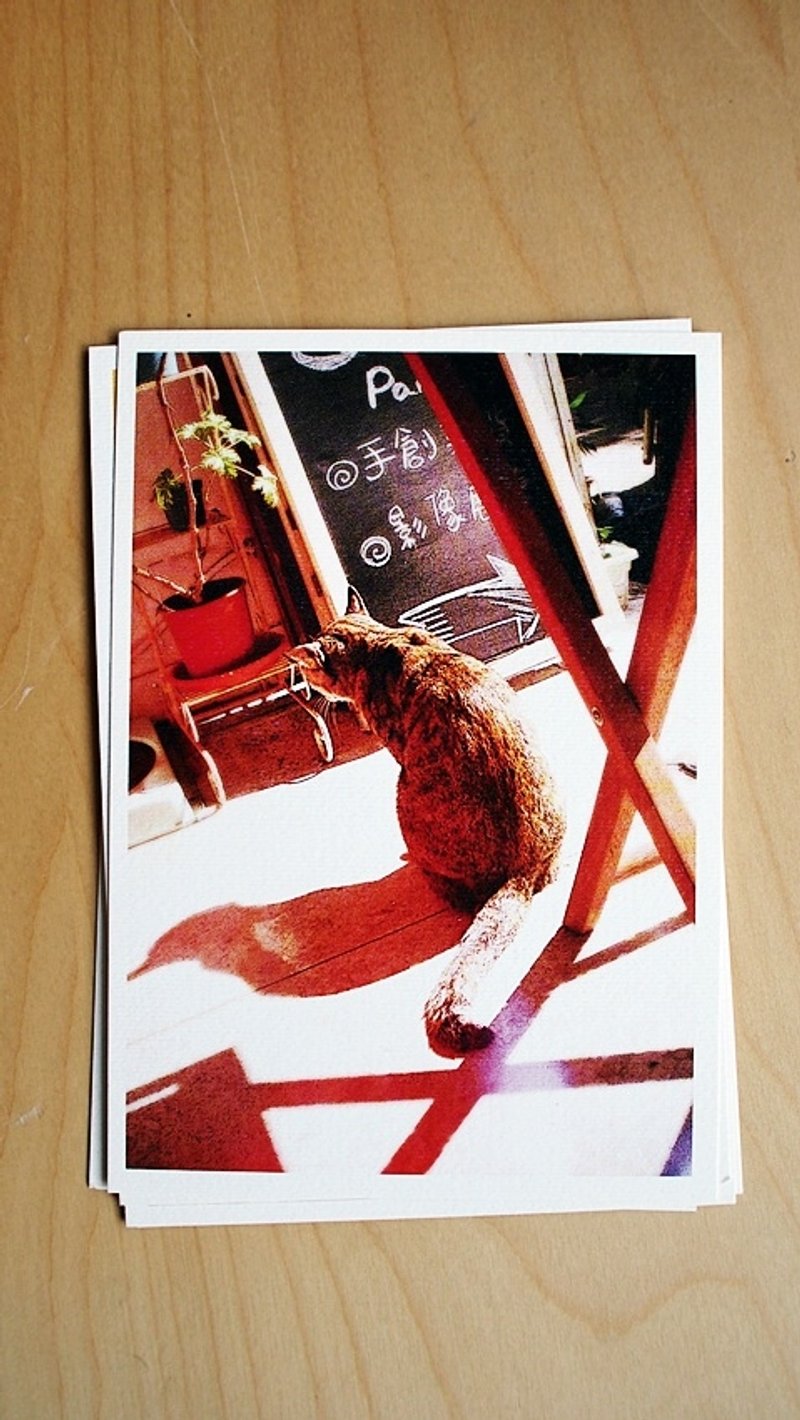 OldNew Lady-摄影明信片【猫咪背影】M5 - 卡片/明信片 - 纸 红色