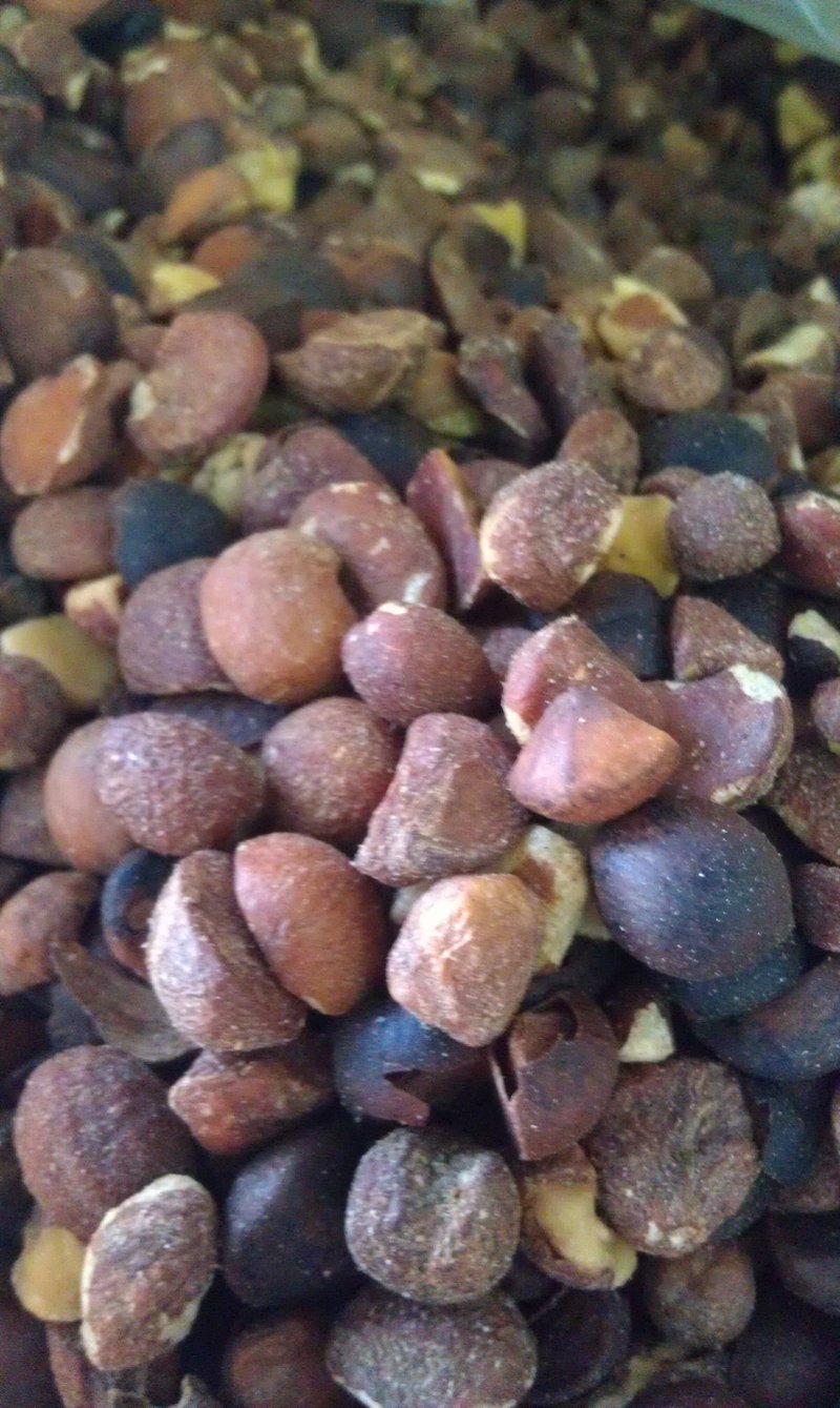 【本草堂手作油坊】~限量推出~!!!台湾大果茶油, 低温慢慢焙干 初榨苦茶油(玻璃易碎，只提供宅配) - 酱料/调味料 - 新鲜食材 