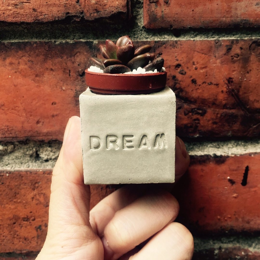 Dream~!!（梦想）多肉磁铁盆栽 - 植栽/盆栽 - 水泥 灰色