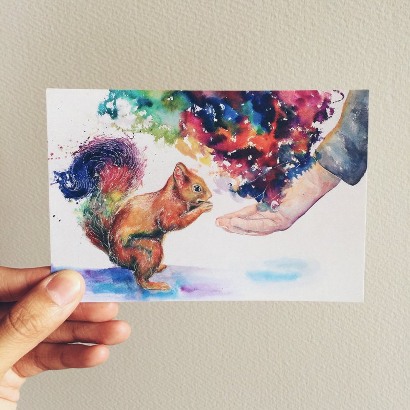 明信片 PC-AN-002 松鼠 - 卡片/明信片 - 纸 多色