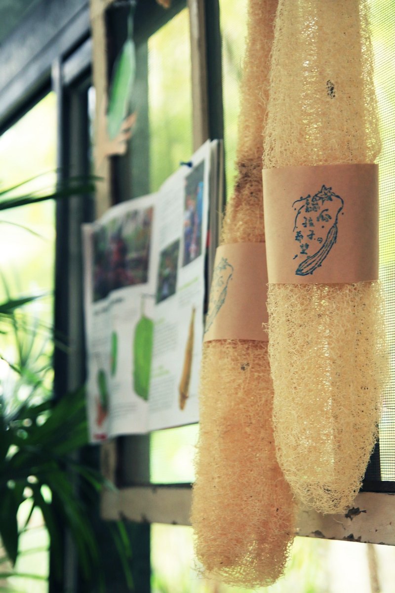 丝瓜小队“天然丝瓜布” - 其他 - 植物．花 金色