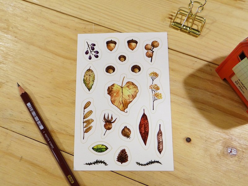 15'秋季[秋季植物贴纸5枚入] - 贴纸 - 纸 