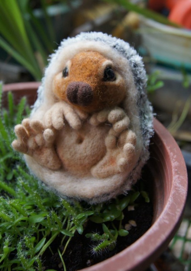 【羊乐多 X 羊毛毡】刺猬小宝宝~PQ - 玩偶/公仔 - 羊毛 金色