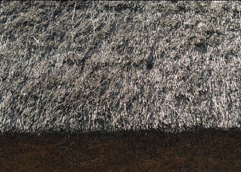 [破墙X陈雅莉] [小卡] 5.我的真心 - 摄影集 - 其他材质 