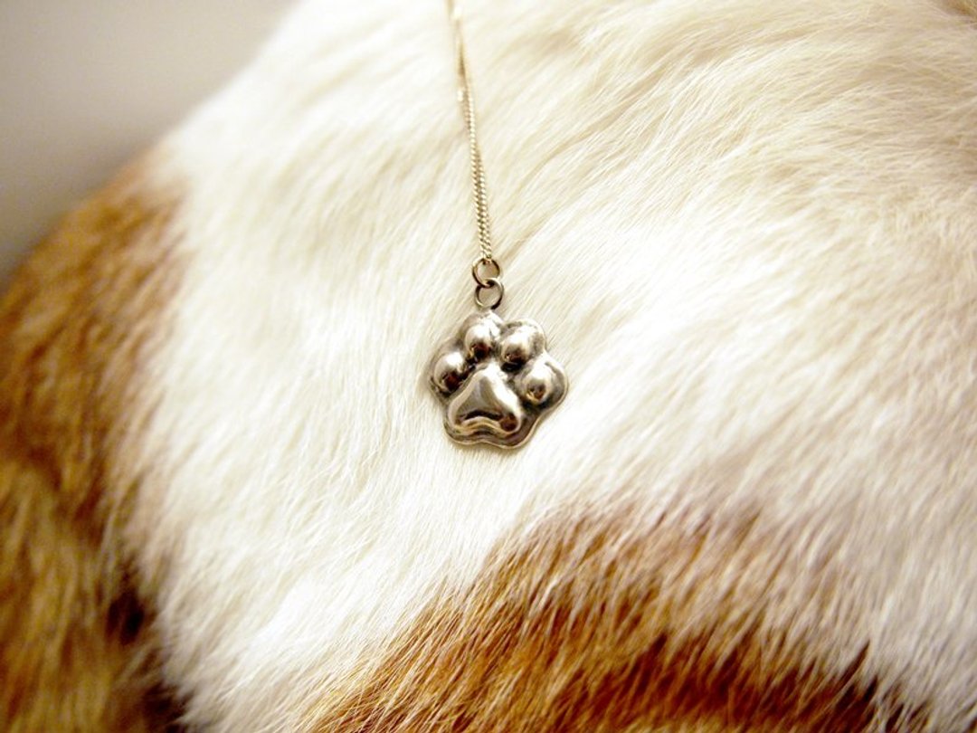 猫奴 生日 周年 爱情 情人节礼物 纯银猫肉球项链 肉球的足迹 - 项链 - 其他金属 银色