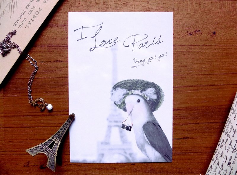 坏脾气鹦鹉系列─贵贵游巴黎(铁塔篇) - 卡片/明信片 - 纸 灰色