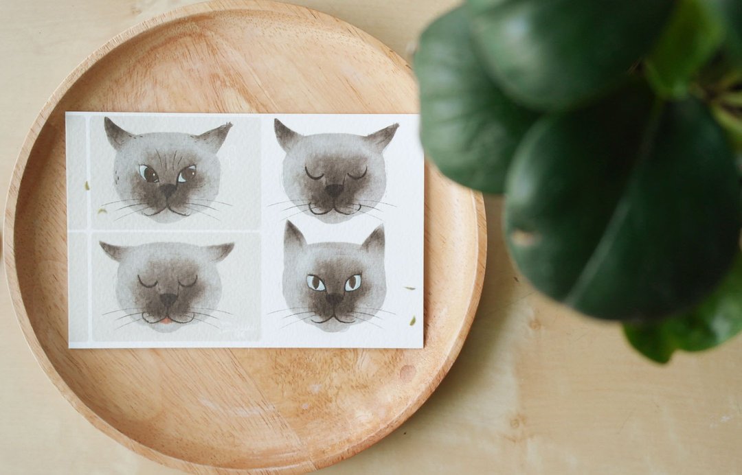 为暹罗猫拍个照 Take a photo Siam Cat action illustration postcard 4