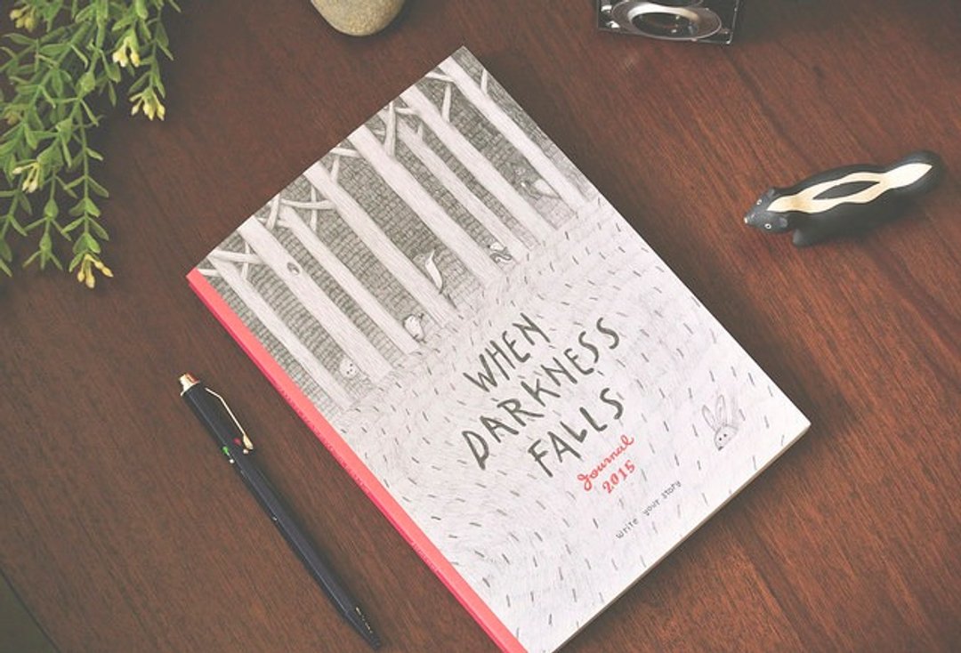 When Darkness Falls 绘本日志(2015) - 躲猫猫 - 笔记本/手帐 - 纸 红色