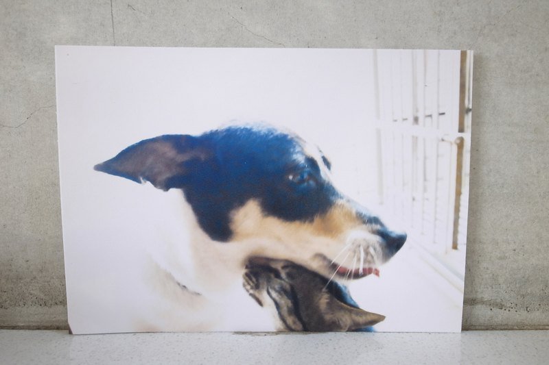 枯木&CryWood手作明信片【025】─依偎着你的温暖 - 卡片/明信片 - 纸 白色