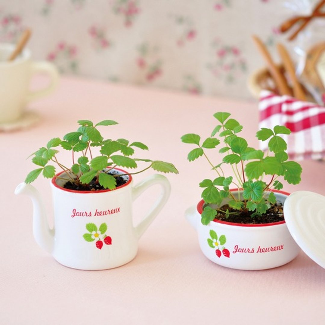 【福利品出清】PETIT COCO- berries 复古陶瓷栽培盆器 / 小草莓 - 植栽/盆栽 - 陶 红色