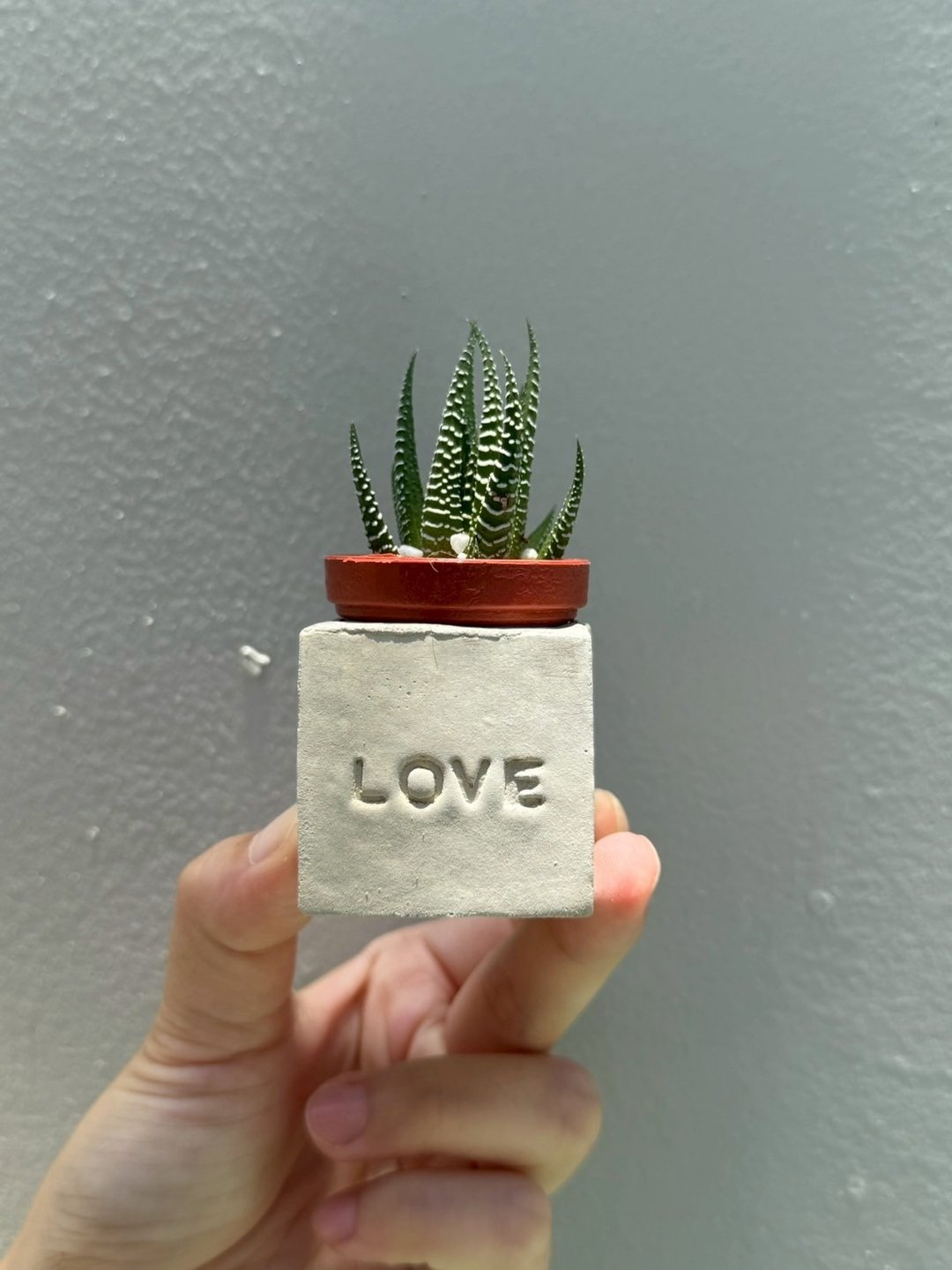 LOVE!! 传情达意磁铁盆栽 - 植栽/盆栽 - 水泥 灰色