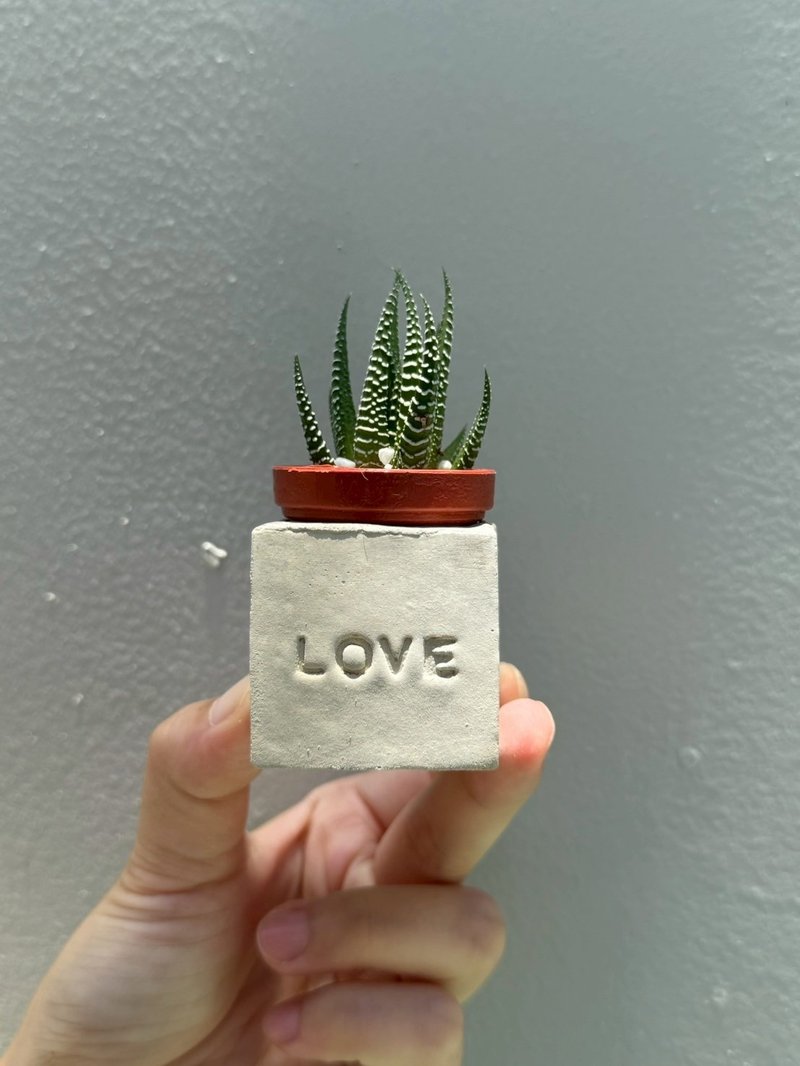 LOVE!!传情达意磁铁盆栽 - 植栽/盆栽 - 水泥 灰色