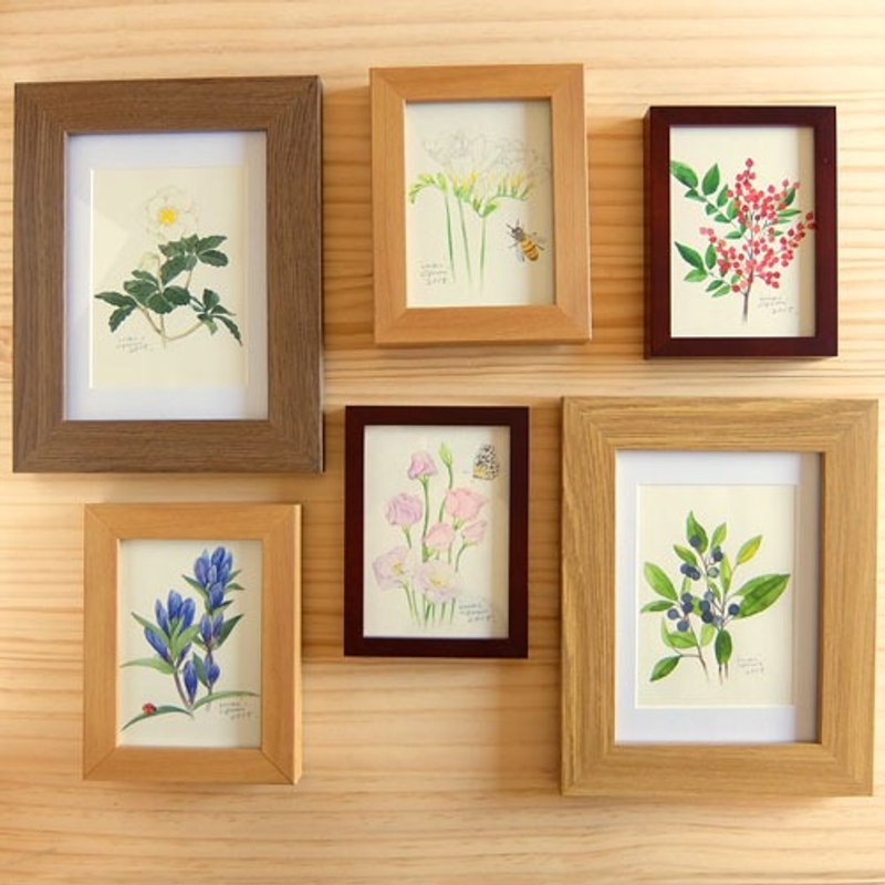 画作 12 个月份 季节的花 - 摄影集 - 纸 白色