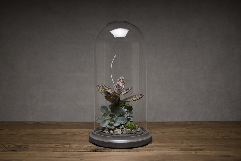 圆顶玻璃展示罩 黑 S size - 摆饰 - 玻璃 灰色