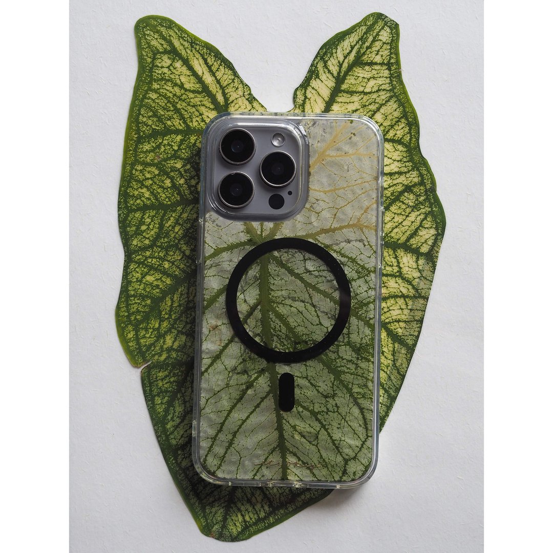 海芋叶子 磁吸 手工手机壳 适用 iPhone16 Pro, iPhone 14 Cases - 手机壳/手机套 - 植物．花 绿色