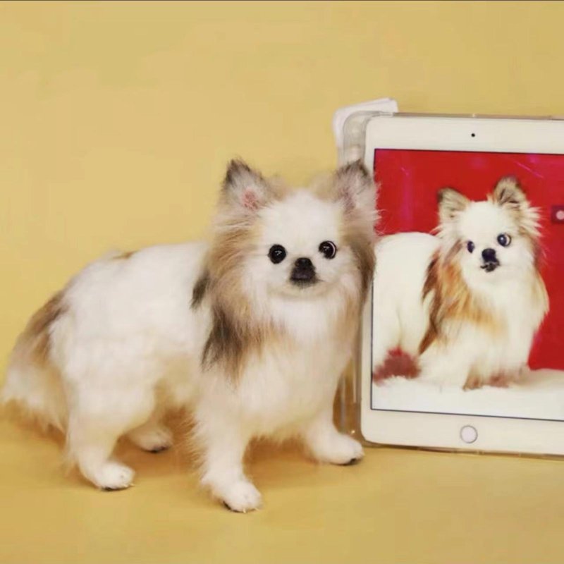 客制化逼真犬 羊毛毡 博美犬  宠物 娃娃 定制 手工 狗狗猫咪  53 - 玩具 - 羊毛 多色