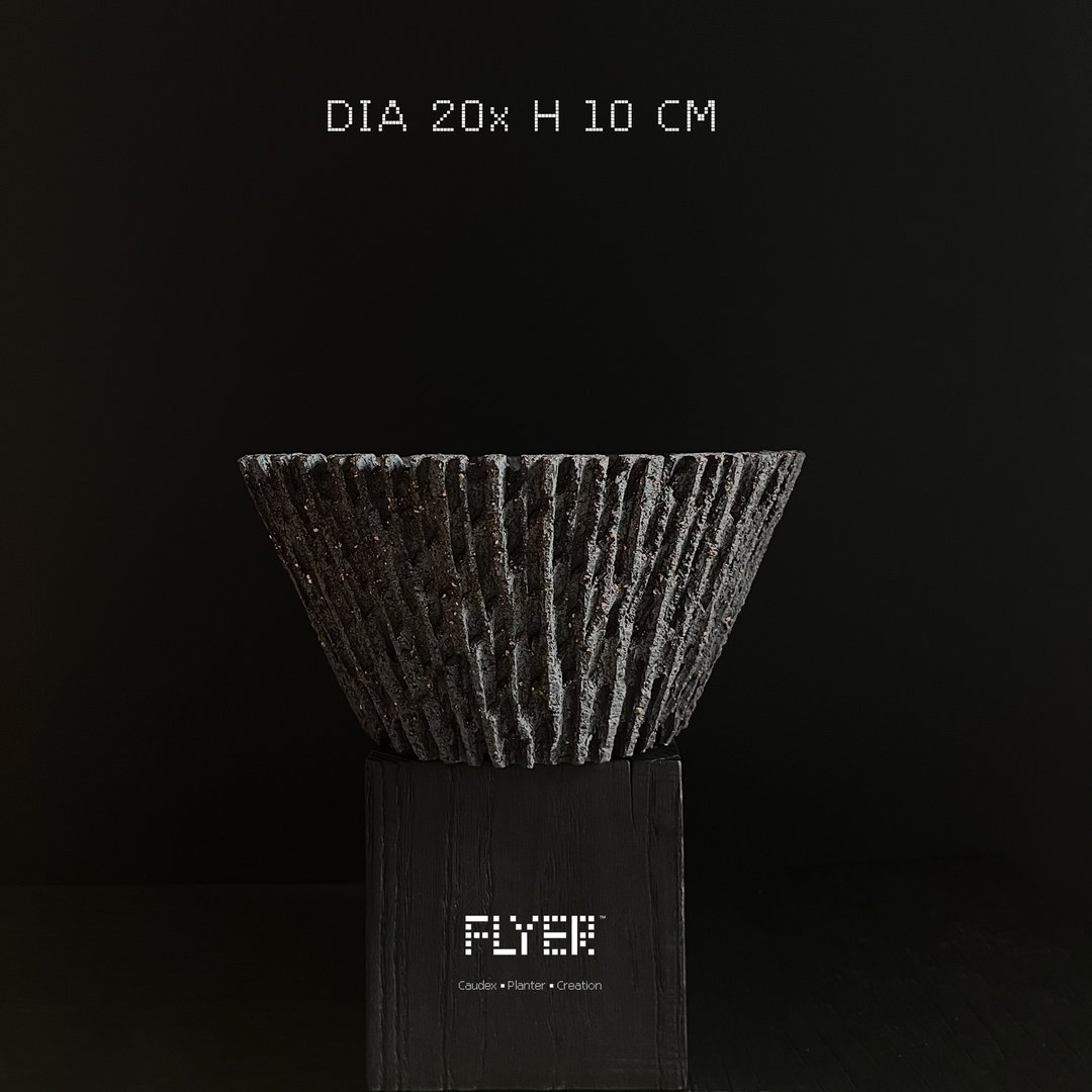 FLYER 块根多肉植物陶盆器 龙舌兰象牙宫象足漆树盆器 粗陶系列 - 花瓶/陶器 - 陶 黑色