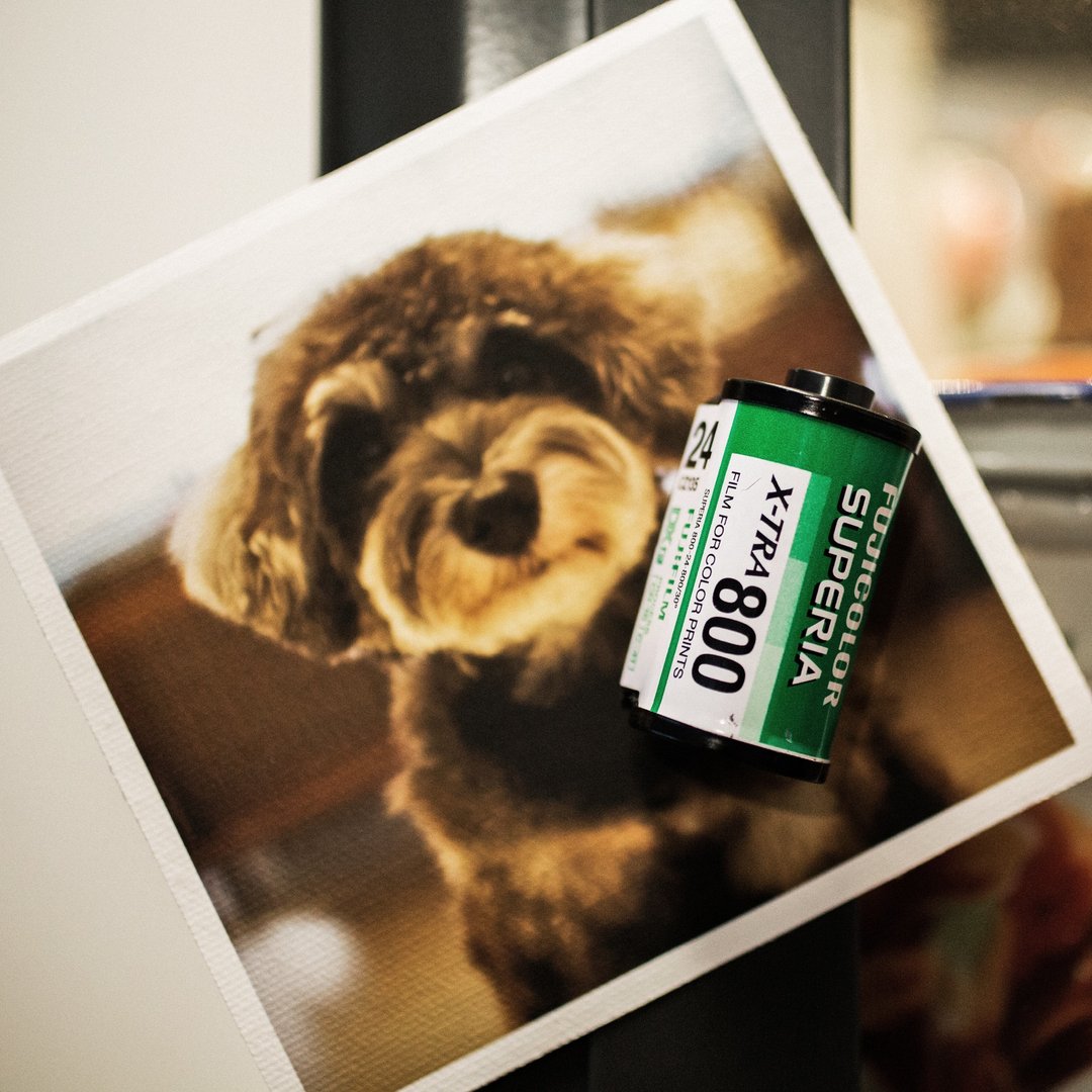 Set of 5 Retro Film Roll Fridge Magnets. A must-have for Photographers - 冰箱贴/磁贴 - 其他金属 