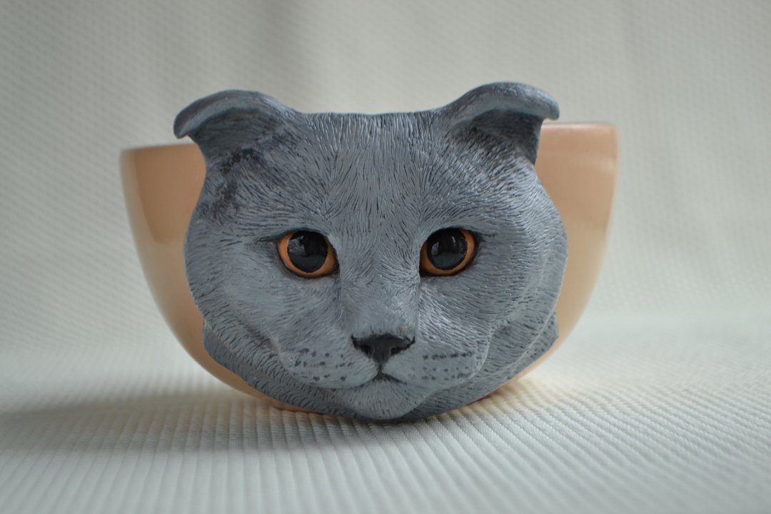 Custom cat mug, Cat memorial gift, Pet sympathy gift - 花瓶/陶器 - 陶 